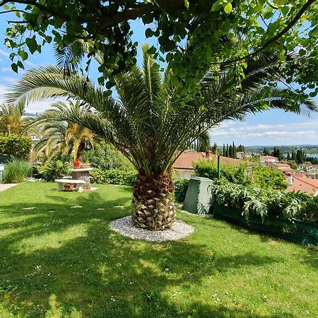 Apartment With Seaview And Garden For 6 Πορτορόζ Εξωτερικό φωτογραφία