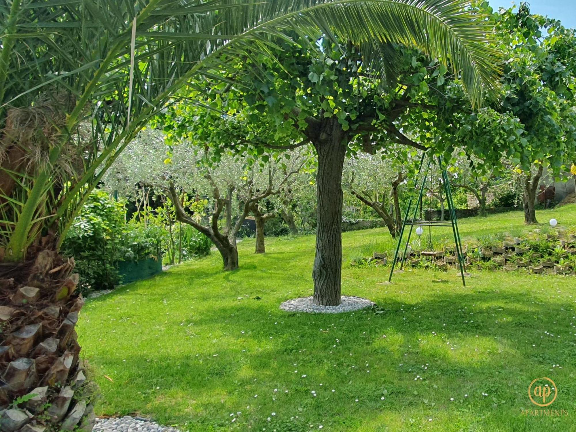 Apartment With Seaview And Garden For 6 Πορτορόζ Εξωτερικό φωτογραφία